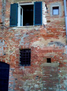 Cinder pokes her head out of our window
