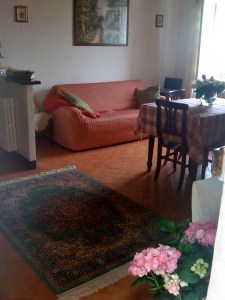 Our apartment takes shape