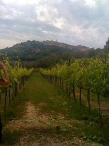 IMG_0280 A view of Montepulciano as we walk home