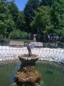 Admiring the goldfish pond in the park