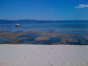 Natalie is the first one to explore the water