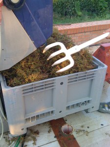 the stems are discarded and turned into mulch