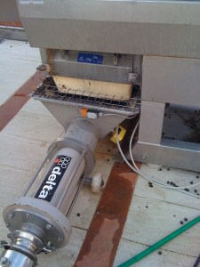 the separated fruit is now ready for the next phase