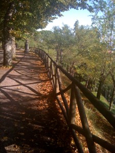 Our path to the mercato