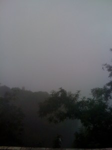 A foggy autumn morning hides my view