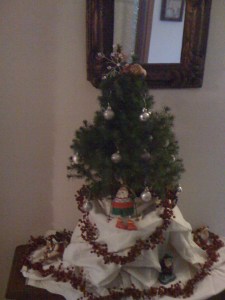 My very first Italian Christmas tree from four years ago...it spends the off season in Marinella's garden