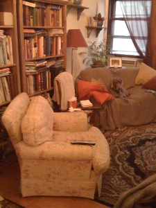 Our cozy apartment in the Big Apple