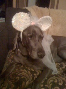 At Least You're in Tuscany... At Least You're in Tuscany...