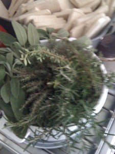 Gorgeous herbs from Terry's garden