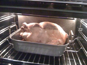 Stuffed Turkey in progress....