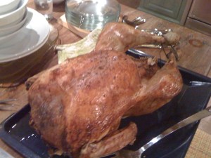 Turkey number 2 a/k/a leftovers baby! 