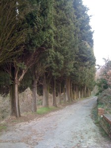 Tuscany is beautiful no matter the season!