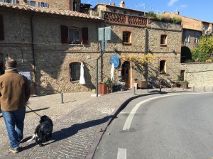Bertie taking us for a walk around his town